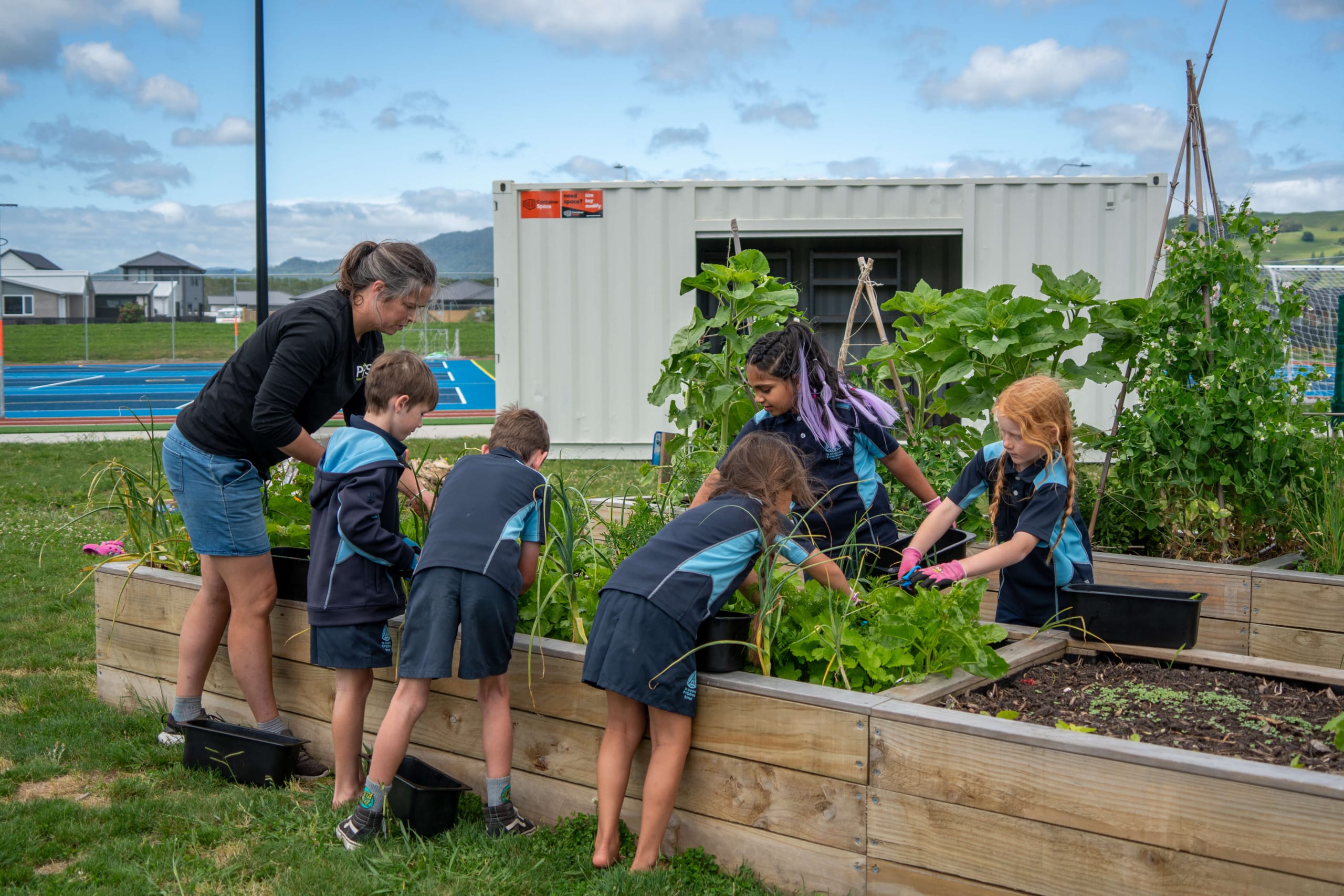 Children tend to their garden at Te Manawa ō Pāpāmoa School, in front of their new shipping container gardening shed, donated by Container Space. 