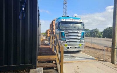 Container Space – Forest 360